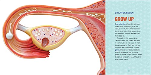 Human Anatomy for Kids: A Junior Scientist's Guide to How We Move, Breathe, and Grow