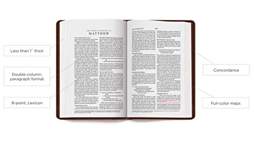 ESV Thinline Bible (TruTone, Chestnut, Wood Panel Design)