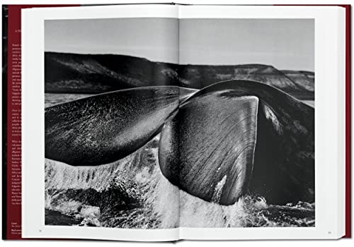Sebastião Salgado: Genesis