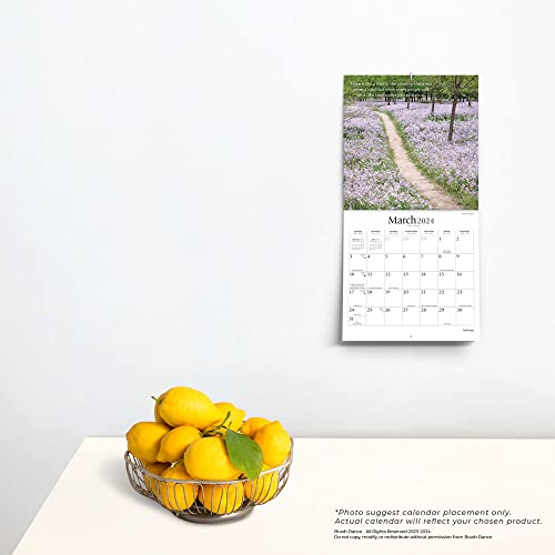 Pathways | 2024 7 x 14 Inch Monthly Mini Wall Calendar | Brush Dance | Photography Journey Scenic Nature