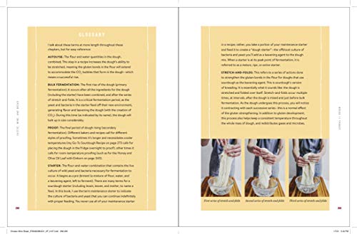 Cheese, Wine, and Bread: Discovering the Magic of Fermentation in England, Italy, and France