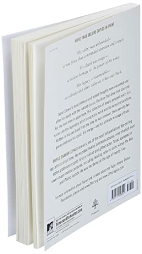 The Rose That Grew From Concrete