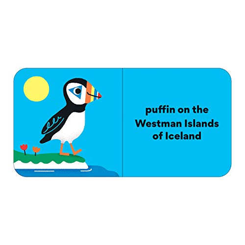 Little Traveler Board Book Set