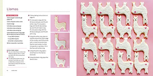 Cookie Class: 120 Irresistible Decorating Ideas for Any Occasion