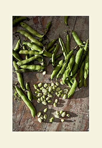 Via Carota: A Celebration of Seasonal Cooking from the Beloved Greenwich Village Restaurant: An Italian Cookbook