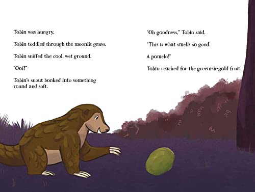 The Moonlight Meeting: The Nocturnals Grow & Read Early Reader, Level 2