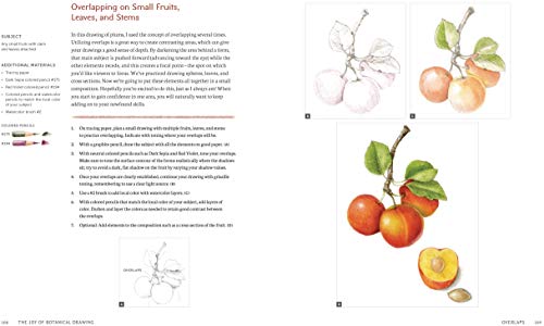 The Joy of Botanical Drawing: A Step-by-Step Guide to Drawing and Painting Flowers, Leaves, Fruit, and More