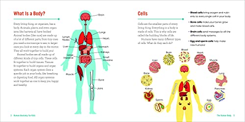 Human Anatomy for Kids: A Junior Scientist's Guide to How We Move, Breathe, and Grow