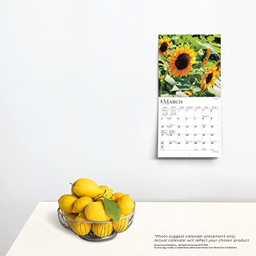 Sunflowers | 2024 7 x 14 Inch Monthly Mini Wall Calendar | BrownTrout | Flower Outdoor Plant