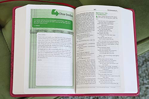 NIV, Teen Study Bible, Compact, Leathersoft, Pink