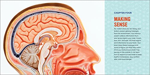 Human Anatomy for Kids: A Junior Scientist's Guide to How We Move, Breathe, and Grow