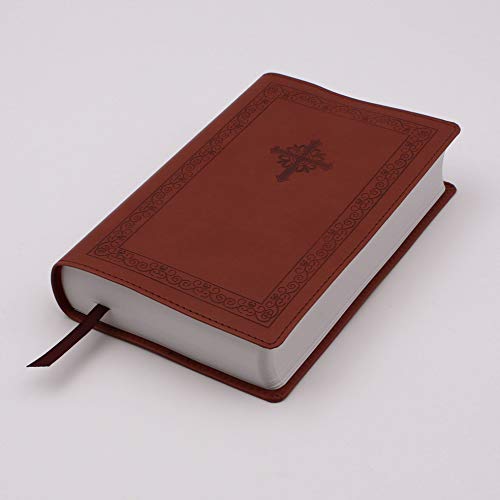 NIV, Teen Study Bible, Compact, Leathersoft, Brown