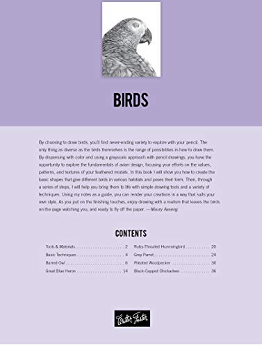 Drawing: Birds: Learn to draw step by step (How to Draw & Paint)