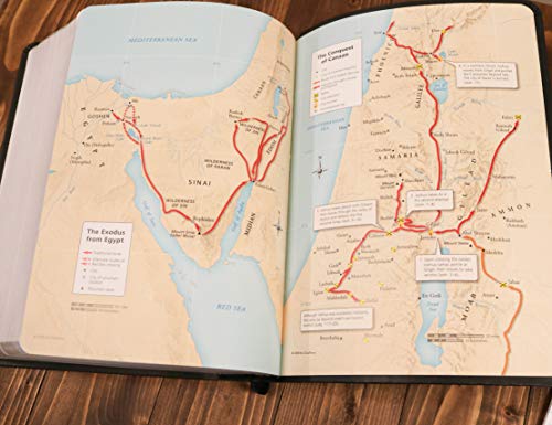 The NASB, MacArthur Study Bible, Large Print, Bonded Leather, Black, Thumb Indexed: Holy Bible, New American Standard Bible