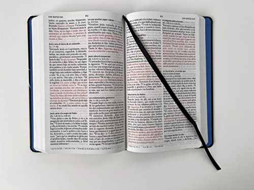 Biblia RVR 1960 letra grande, tamaño manual, tapa dura León de Juda arcoíris / S panish Bible RVR 1960 Handy Size Large Print Hardcover Rainbow Lion of Judah