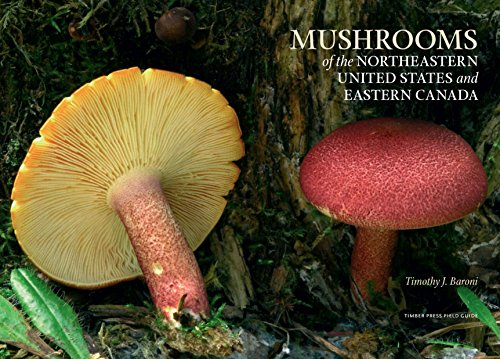 Mushrooms of the Northeastern United States and Eastern Canada (A Timber Press Field Guide)