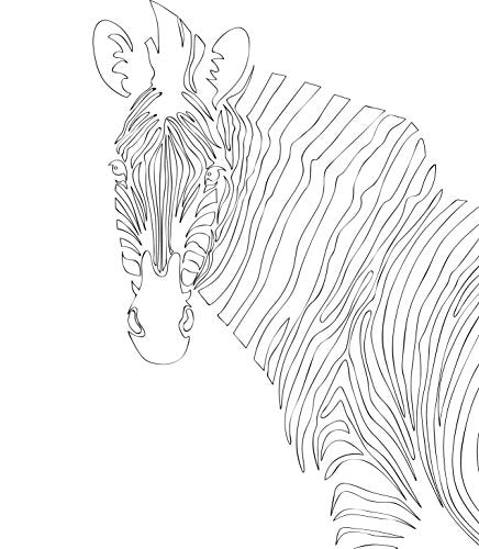 Color & Frame - Animals (Adult Coloring Book)