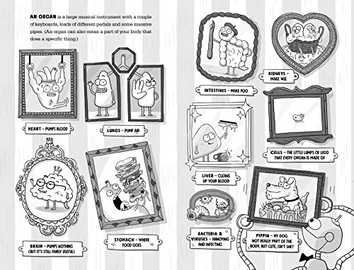 Kay’s Anatomy: A Complete (and Completely Disgusting) Guide to the Human Body