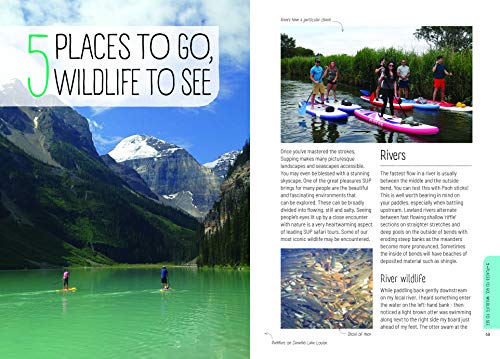 Paddleboard Bible, The: The complete guide to stand-up paddleboarding