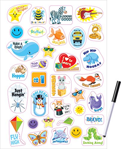 School Zone - Preschool Write & Reuse Workbook - Ages 3 to 5, Spiral Bound, Write-On Learning, Wipe Clean, Includes Dry Erase Marker, Letter Tracing, and More (School Zone Write & Reuse Workbook)