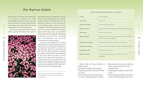 The Chakra Bible: The Definitive Guide to Working with Chakras (Volume 11) (Mind Body Spirit Bibles)