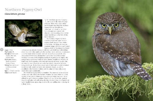 The Complete Book of North American Owls