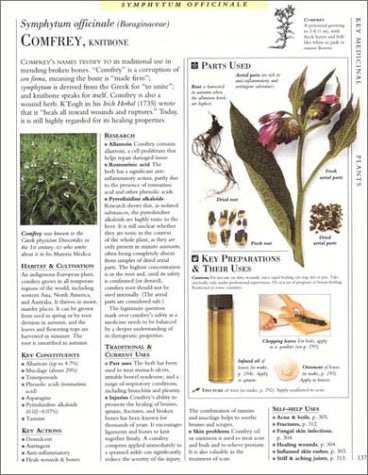 Encyclopedia of Herbal Medicine: The Definitive Home Reference Guide to 550 Key Herbs with all their Uses as Remedies for Common Ailments