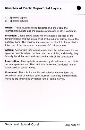 Netter's Anatomy Flash Cards: With STUDENT CONSULT Online Access (Netter Basic Science)