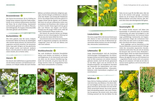 Der Selbstversorger: Mein Gartenwissen: Der Bestseller in überarbeiteter und aktualisierter Neuauflage