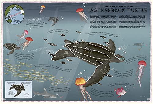 Atlas of Ocean Adventures: A Collection of Natural Wonders, Marine Marvels and Undersea Antics from Across the Globe