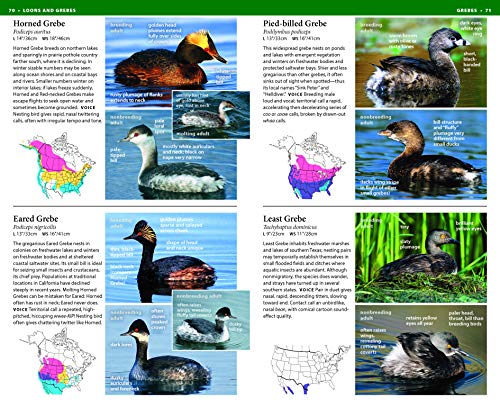 National Wildlife Federation Field Guide to Birds of North America
