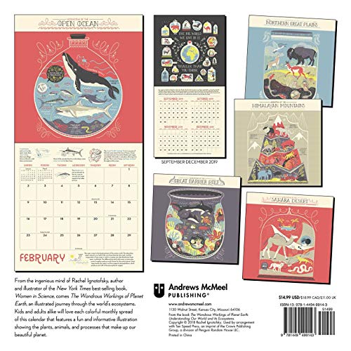 The Wondrous Workings of Planet Earth 2020 Wall Calendar
