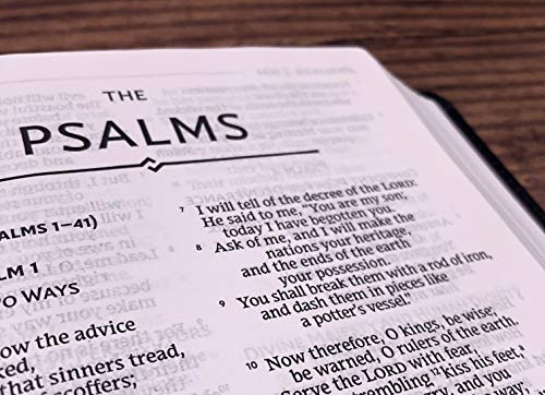 NRSV, Thinline Bible, Bonded Leather, Burgundy, Comfort Print