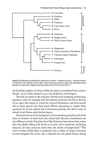 The Ascent of Birds: How Modern Science Is Revealing Their Story