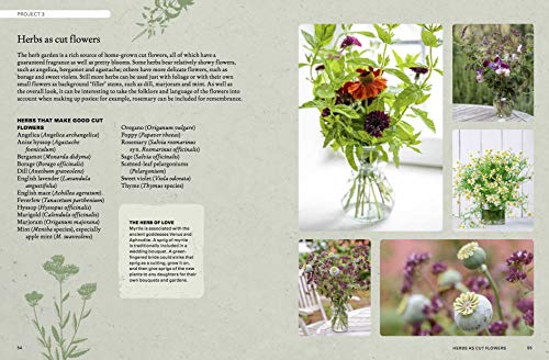 The Kew Gardener's Guide to Growing Herbs: The art and science to grow your own herbs (Volume 2) (Kew Experts, 2)