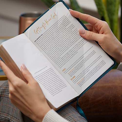 KJV, Thinline Bible Youth Edition, Leathersoft, Brown, Red Letter, Comfort Print: Holy Bible, King James Version