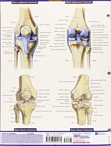 Joints & Ligaments Advanced (Quick Study Academic)