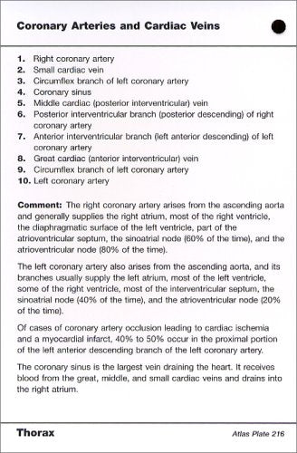 Netter's Anatomy Flash Cards: With STUDENT CONSULT Online Access (Netter Basic Science)