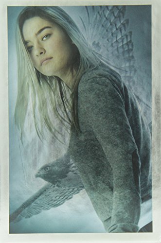 Maximum Ride Box Set (Maximum Ride, School's Out Forever, Saving the World)