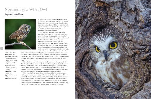 The Complete Book of North American Owls