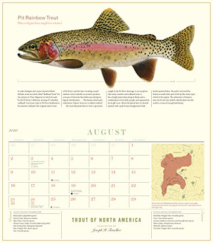 Trout of North America Wall Calendar 2020
