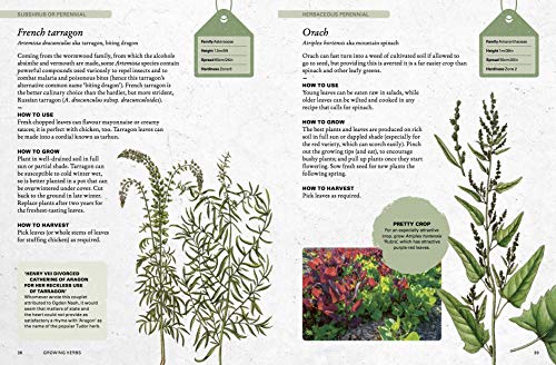 The Kew Gardener's Guide to Growing Herbs: The art and science to grow your own herbs (Volume 2) (Kew Experts, 2)