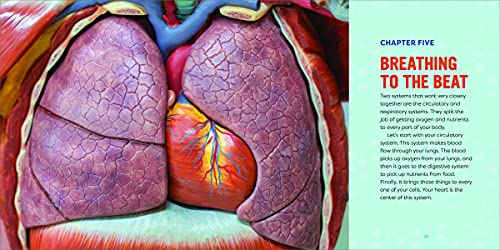 Human Anatomy for Kids: A Junior Scientist's Guide to How We Move, Breathe, and Grow