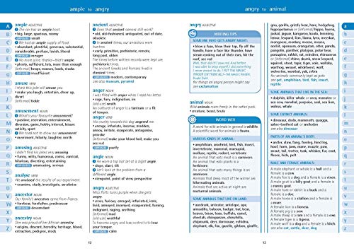 Oxford Primary Thesaurus