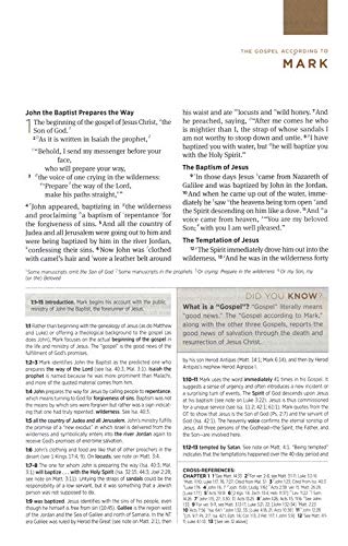 ESV Student Study Bible, Pink/Chocolate, TruTone