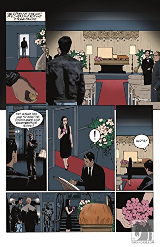 American Gods: Shadows: Adapted for the first time in stunning comic book form [Hardcover] [Jan 01, 2018] Neil Gaiman & Craig Russell