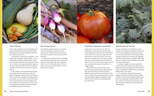 Organic Gardening for Everyone: Homegrown Vegetables Made Easy - No Experience Required!