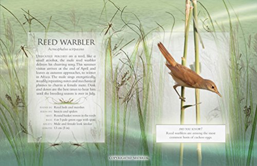 Little Book Of Wetland Bird Sounds