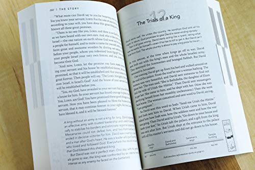 NIV The Story Student Edition, Paperback: The Bible as One Continuing Story of God and His People