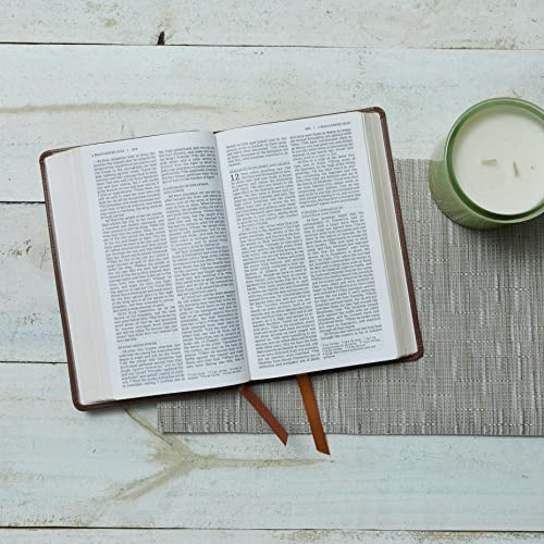 NRSV Catholic Edition Gift Bible, Brown Leathersoft (Comfort Print, Holy Bible, Complete Catholic Bible, NRSV CE): Holy Bible